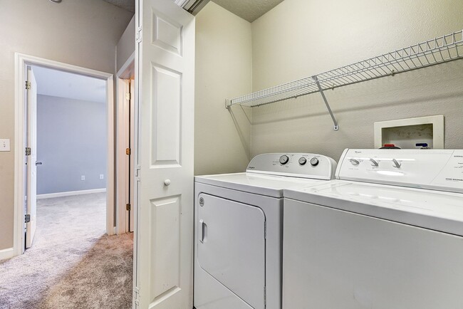 Building Photo - Spacious New Tampa 2 Bedroom, 2.5 Bath Tow...