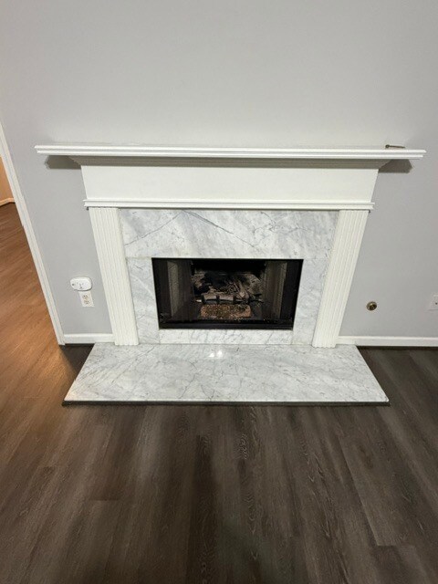 Living Room Fire Place - 387 Ayelsbury Ct