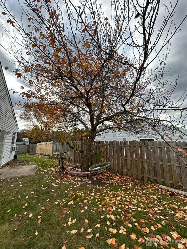 Building Photo - 36 Rainford Rd