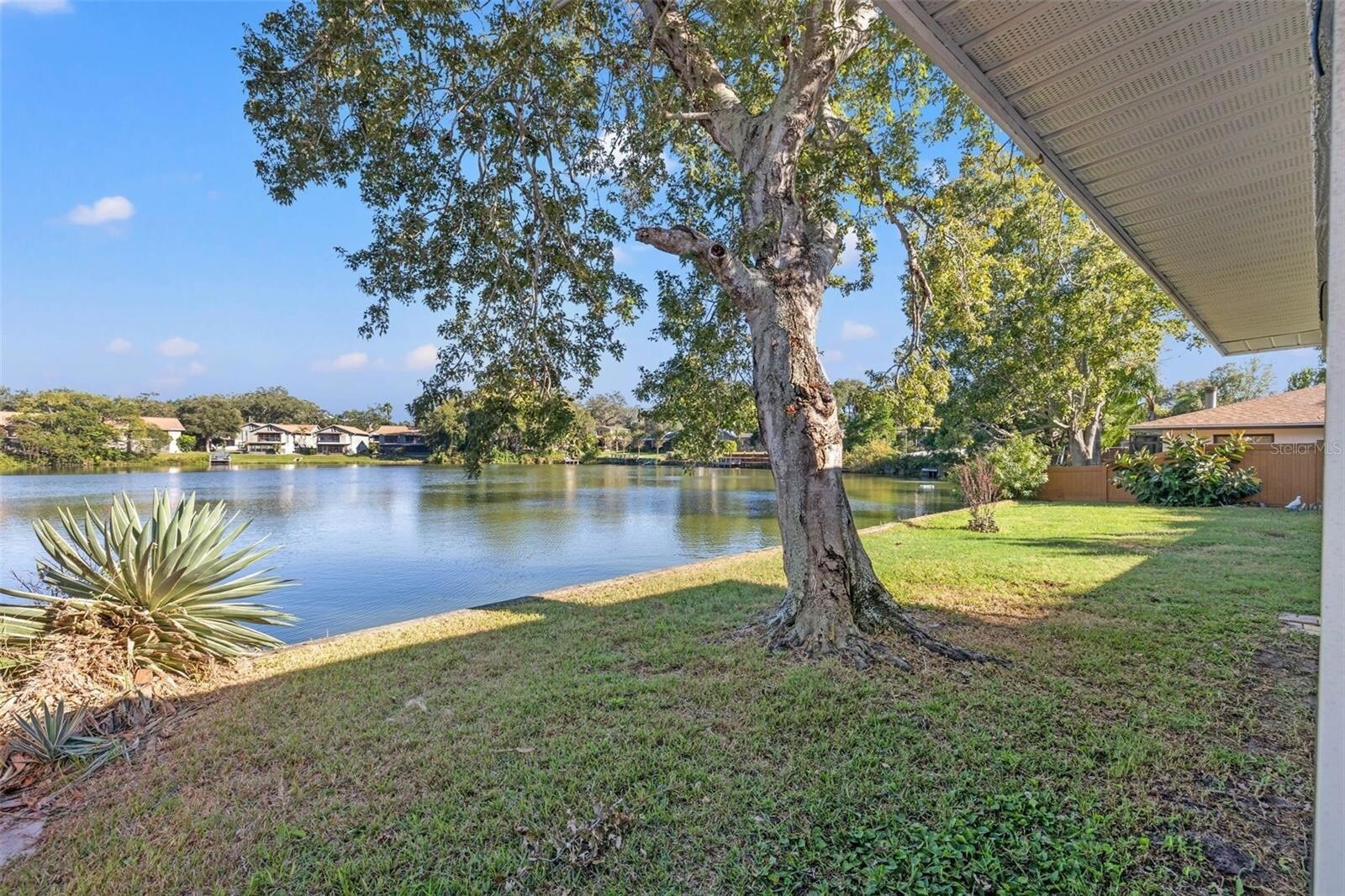 Backyard - 2125 Beecher Rd