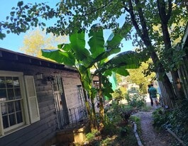 Building Photo - 185 Nantahala Ave