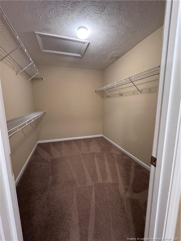 Building Photo - 4455 Jockey Whip Ln
