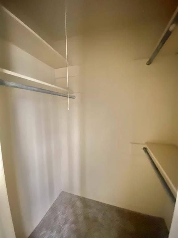 Building Photo - 910 Duncan Ln