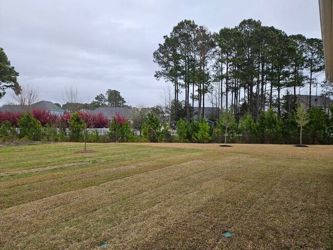 Building Photo - Unfurnished 4 bedroom, 3.5 bath Hampstead home in Magnolia Reserves Community