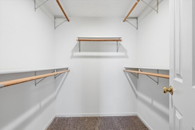 Building Photo - 417 N Village Cir