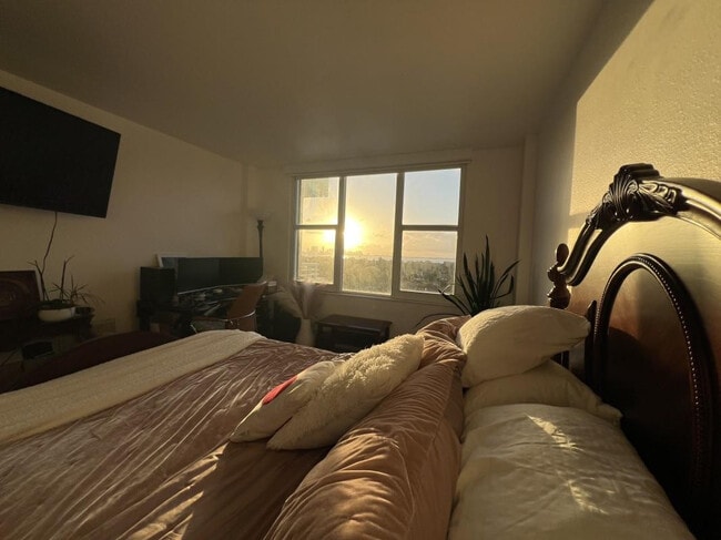 Building Photo - 5600 Collins Ave