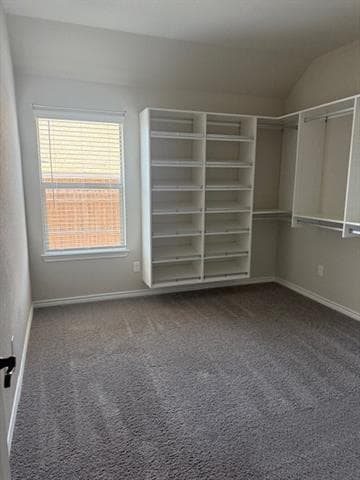 Building Photo - 7208 Windy Ridge Dr