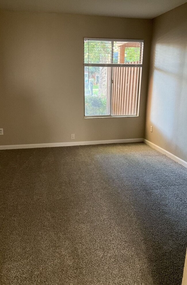 Building Photo - Stunning Remodeled Treat Boulevard unit! A must see 1-bedroom unit with private parking and pool!