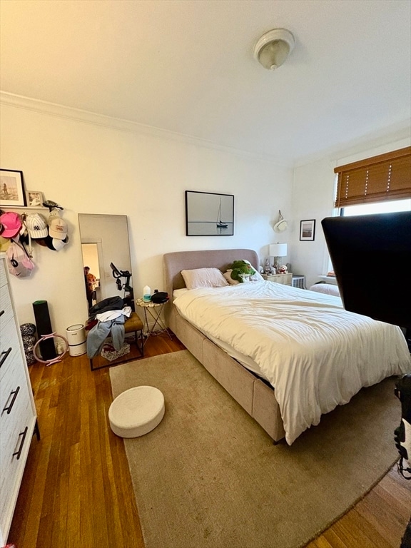 Building Photo - 384 Commonwealth Ave