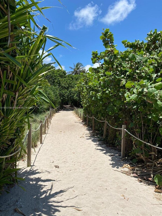 Primary Photo - 7800 Collins Ave