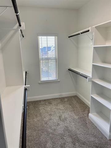 Building Photo - 4929 Barcelona Ave