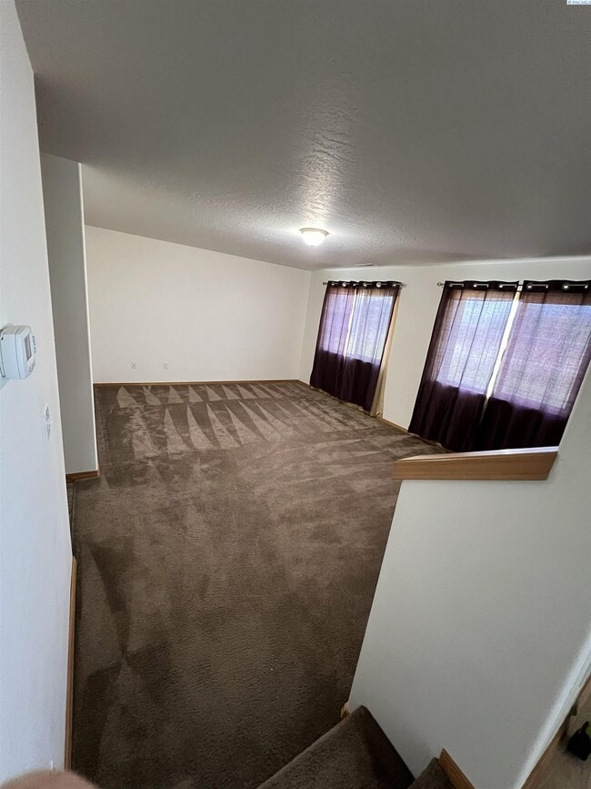 Building Photo - 4519 Catalonia Dr