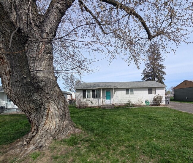 Building Photo - Light & bright 3 bedroom Orchards house