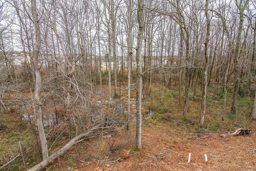 Private Backyard - 54 Creekside Ln