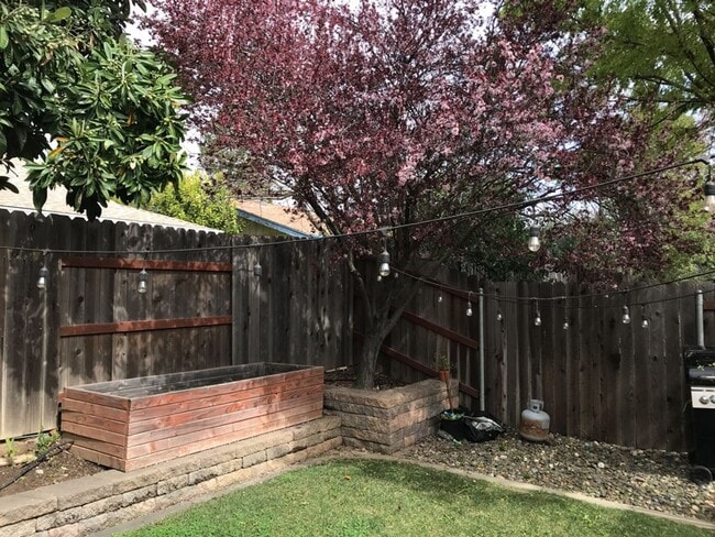 Building Photo - Fantastic East Davis 3 bedroom available f...