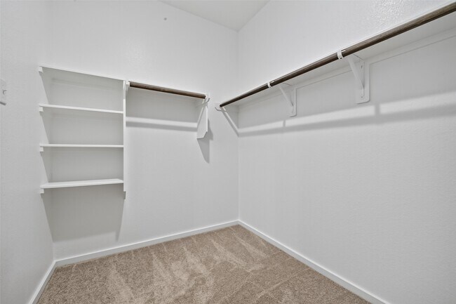 Building Photo - 24657 Monarch Forest Dr