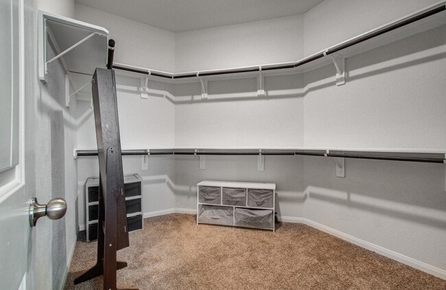 Building Photo - 218 White Wing Ln