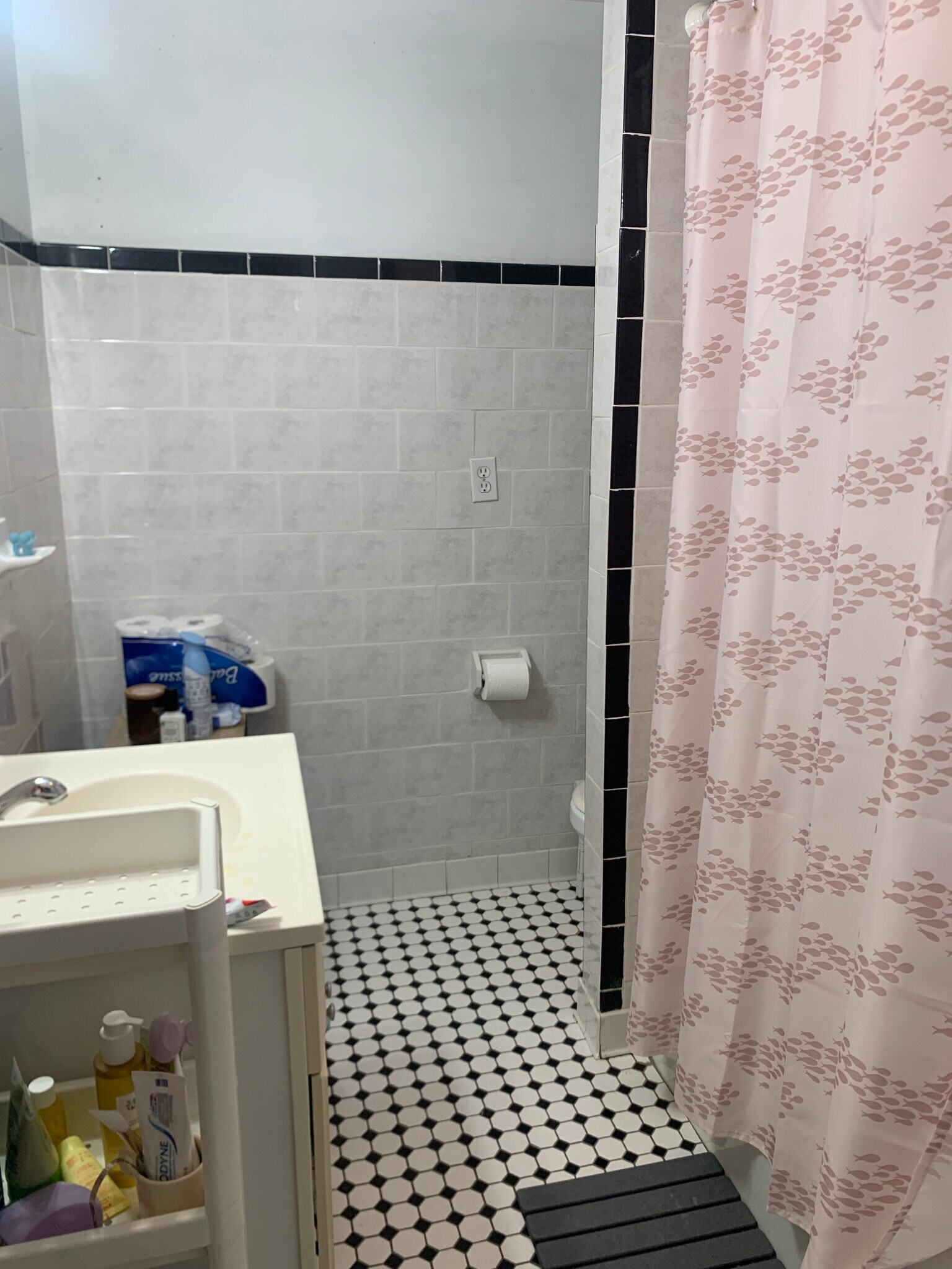 Building Photo - 62 Egmont St