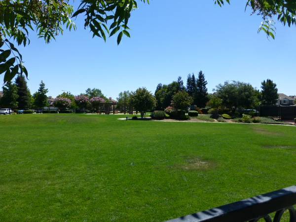 Building Photo - Coming Soon! Beautiful and Spacious 4 Bedr...