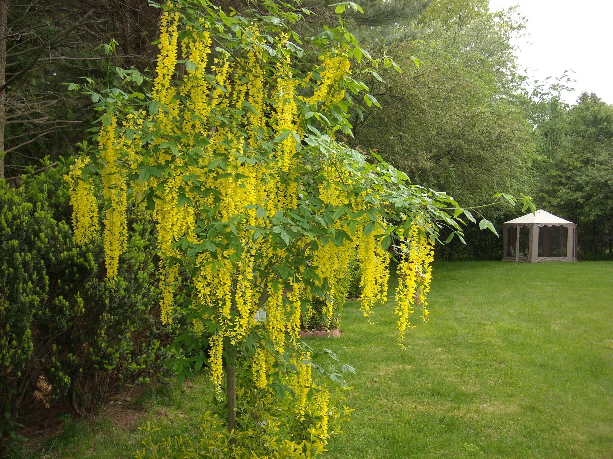 Building Photo - 170 Mill Plain Rd