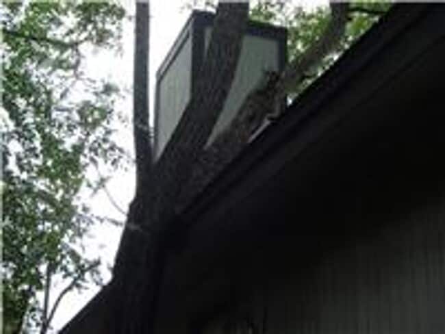 Building Photo - 1033