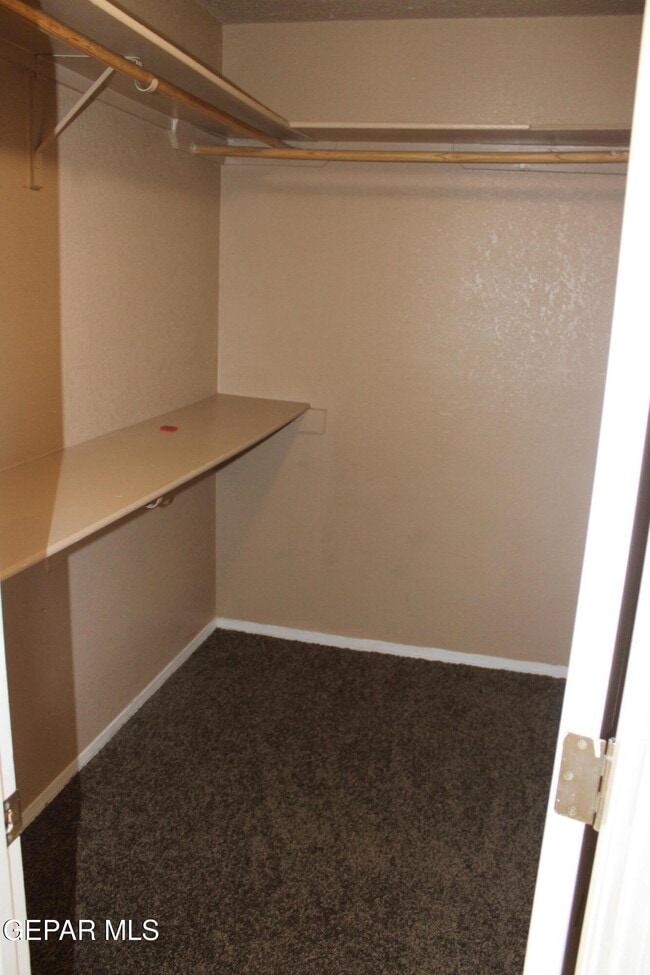 Building Photo - 12217 Red Sun Dr