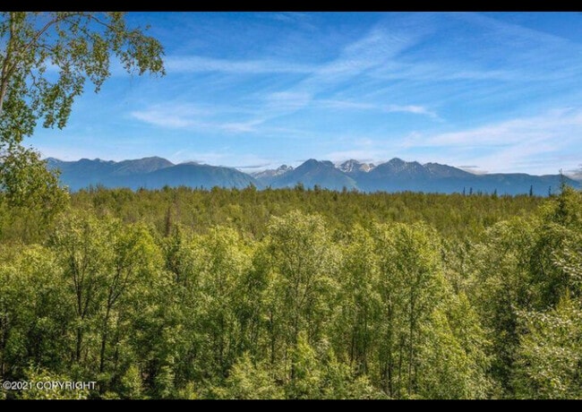 Beautiful unobstructed views from crows nest - 4300 W Overby St