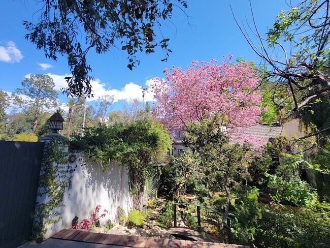 Building Photo - 2057 N Las Palmas Ave