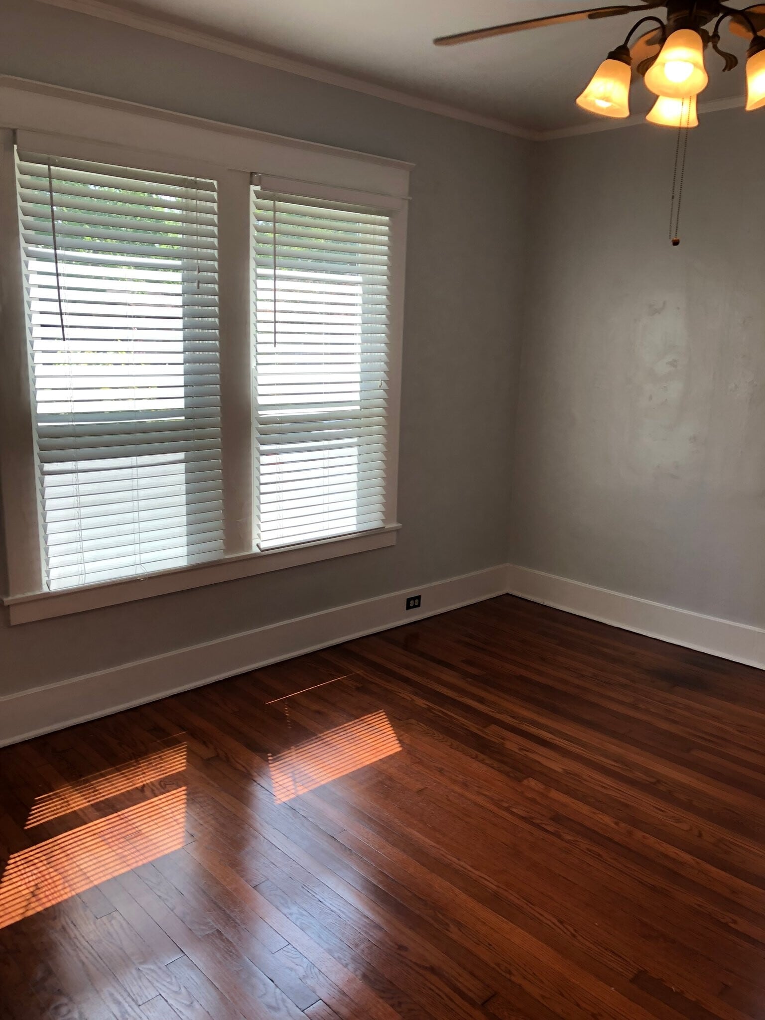 Building Photo - 1047 Fleece Pl