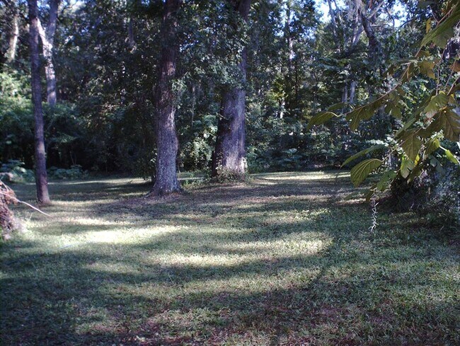 Building Photo - 2007 Harriet Dr