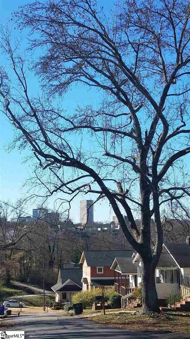 Building Photo - 113 Mount Zion Ave