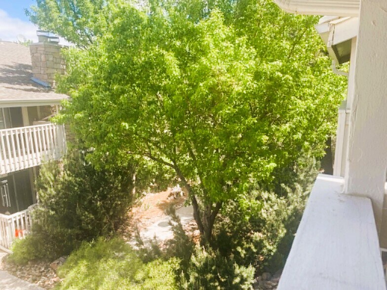 Building Photo - 4400 S Quebec St