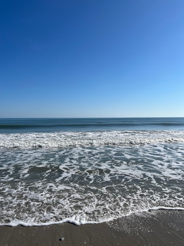 Building Photo - 1207 S Ocean Blvd