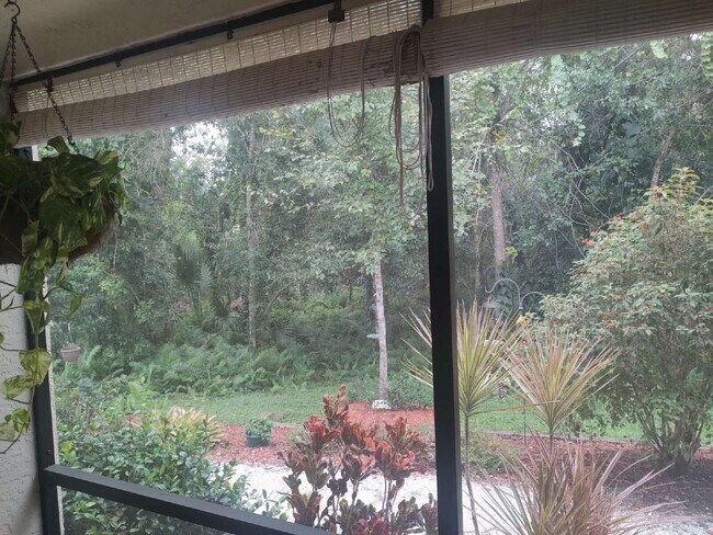 Building Photo - "$200 move in Special. Quite and Peaceful 2-Bed, 2-Bath Condo in Palm Harbor – 1070 Sq Ft."