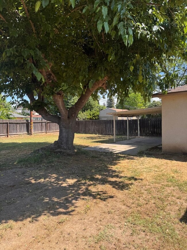 Building Photo - Beautifully Updated 4/2 in Old Fig