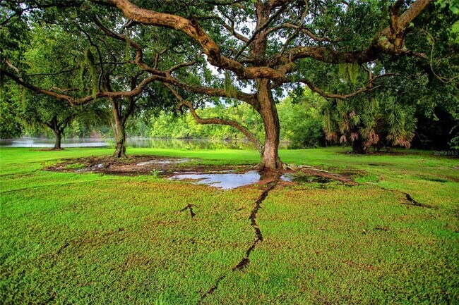 Building Photo - 209 Cypress Ct