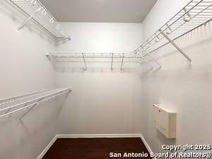 Building Photo - 4015 Desert Cir