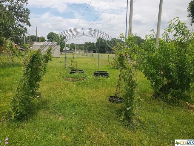 Building Photo - 1217 Craig St