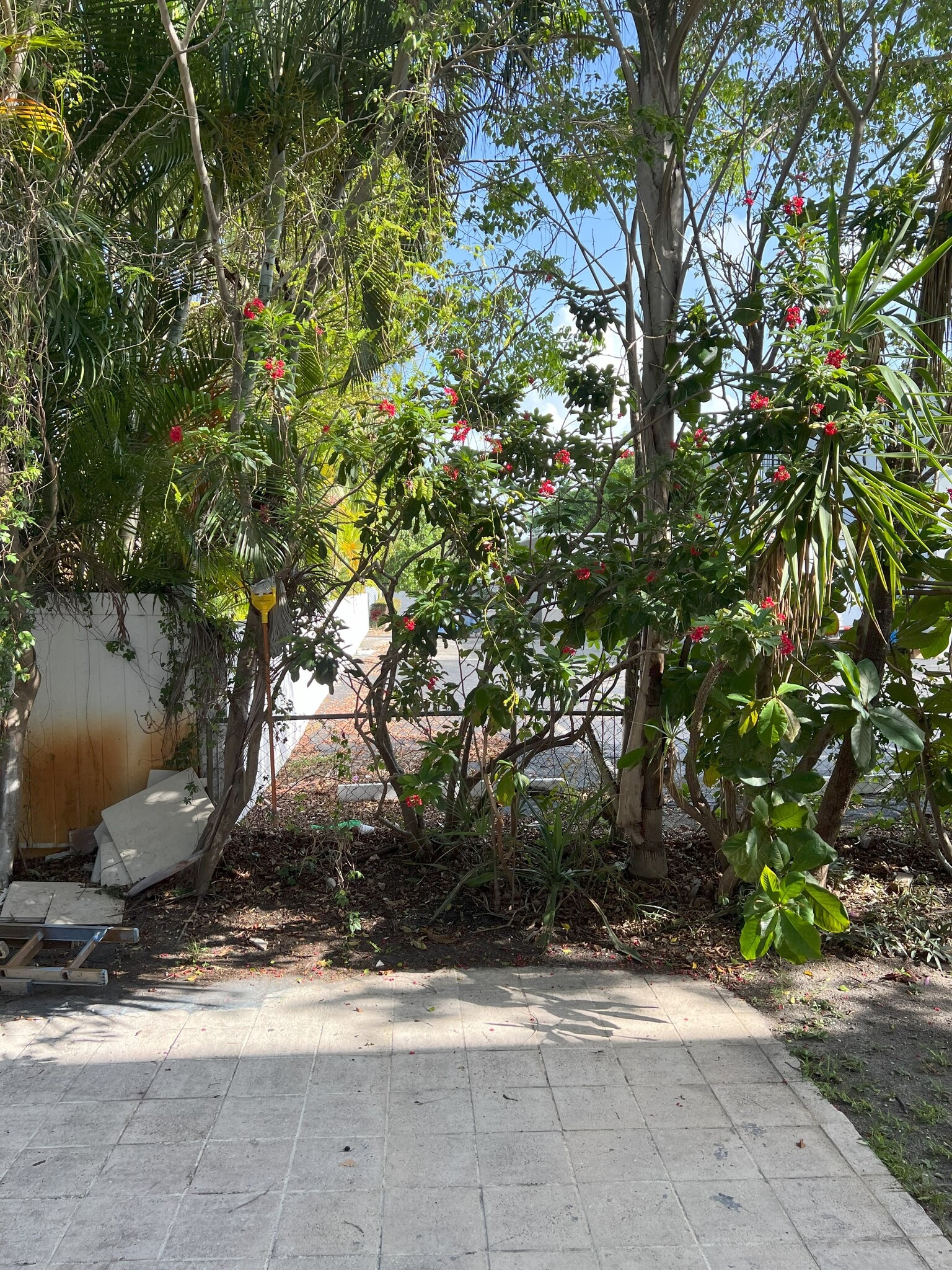 Backyard Garden - 110 SE 2nd St