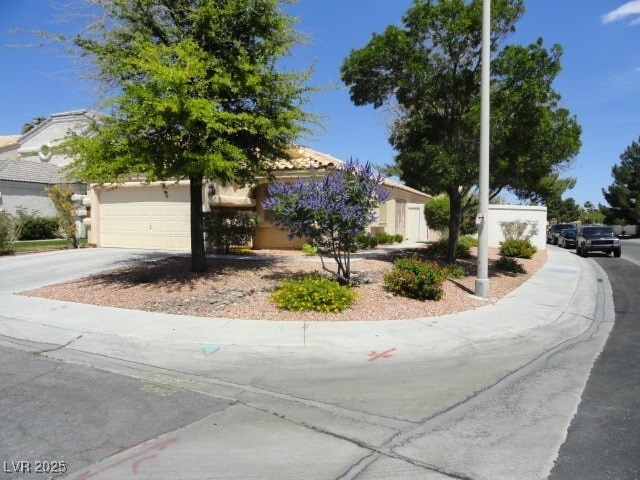 Primary Photo - 2050 Club Crest Way