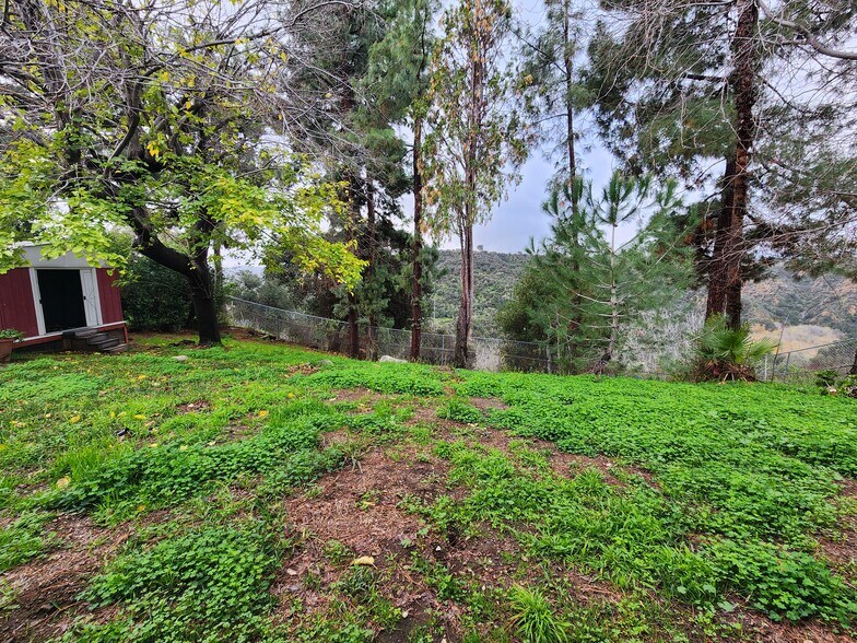 Building Photo - 4131 Aralia Rd