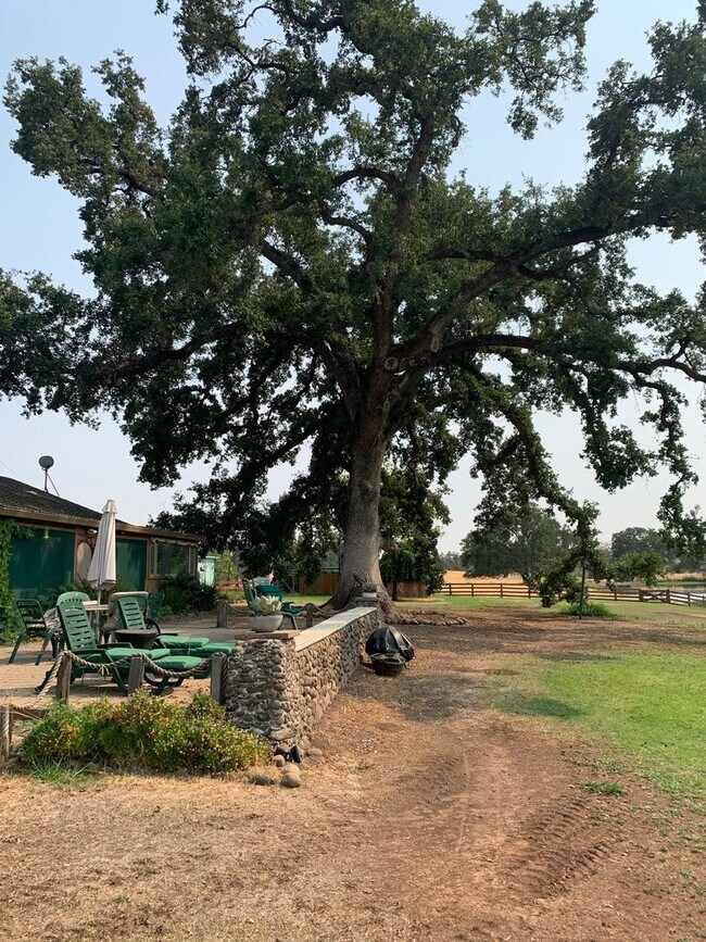 Building Photo - Butte Valley 3 bed 2 bath home, Privacy, n...