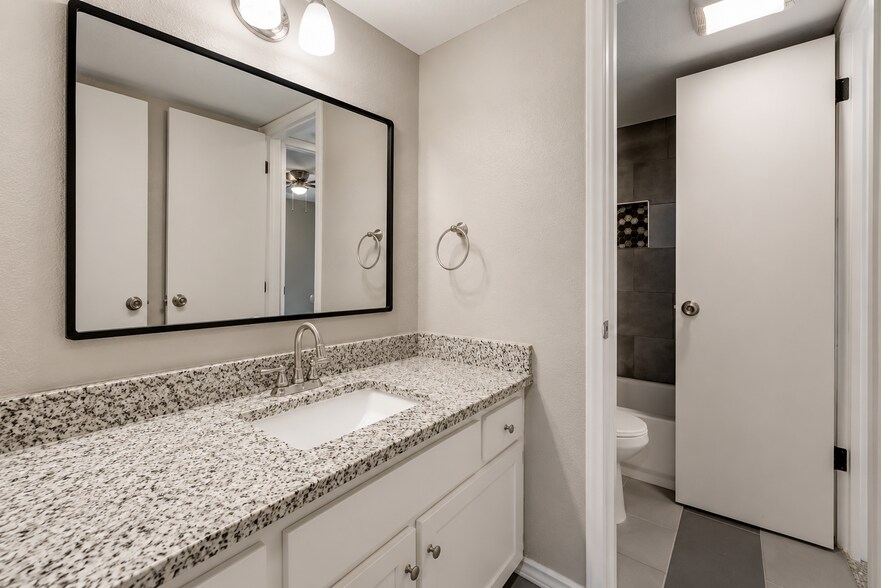Downstairs bath - 4629 Country Creek Dr