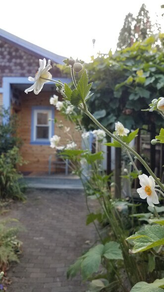 Building Photo - 3733 N Michigan Ave