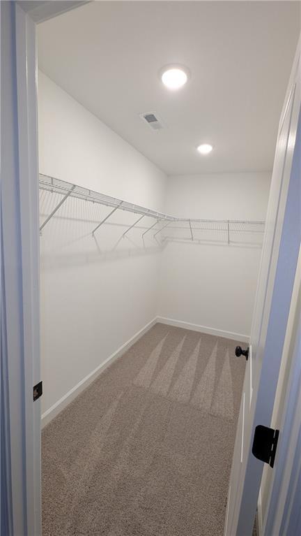 Building Photo - 435 Carrera Ln