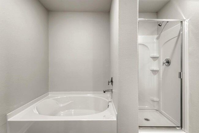 Building Photo - 8109 Sunberry Shadow Dr