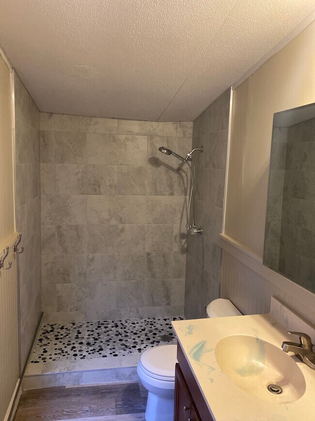 Master shower - 204 Romero St