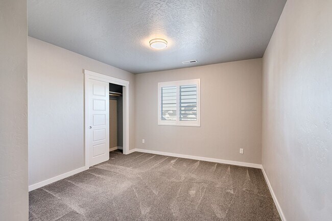 Building Photo - Custom Hunter-Douglas shutters throughout.