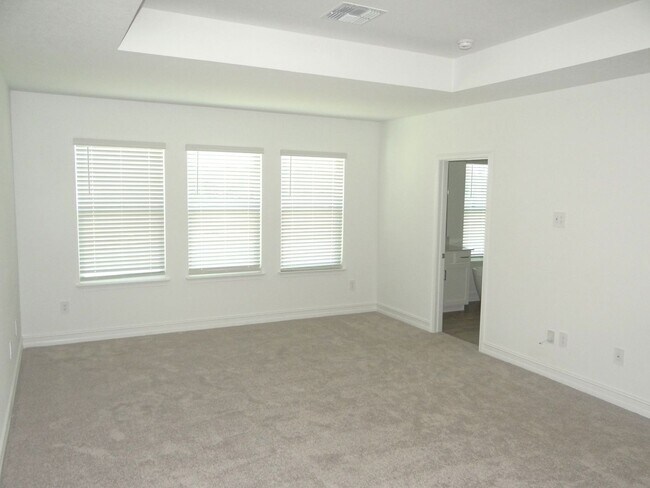 Building Photo - Brand new home in Zephyrhills