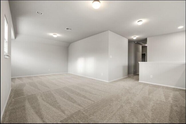 Building Photo - 353 Spiny Lizard Ln